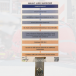 Prehospital Basic Life Support (BLS) Reference Card